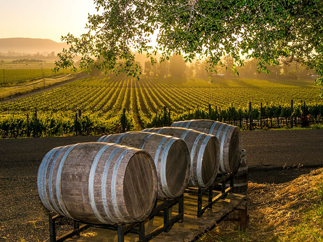 oinopoiia-gioldasi-featured